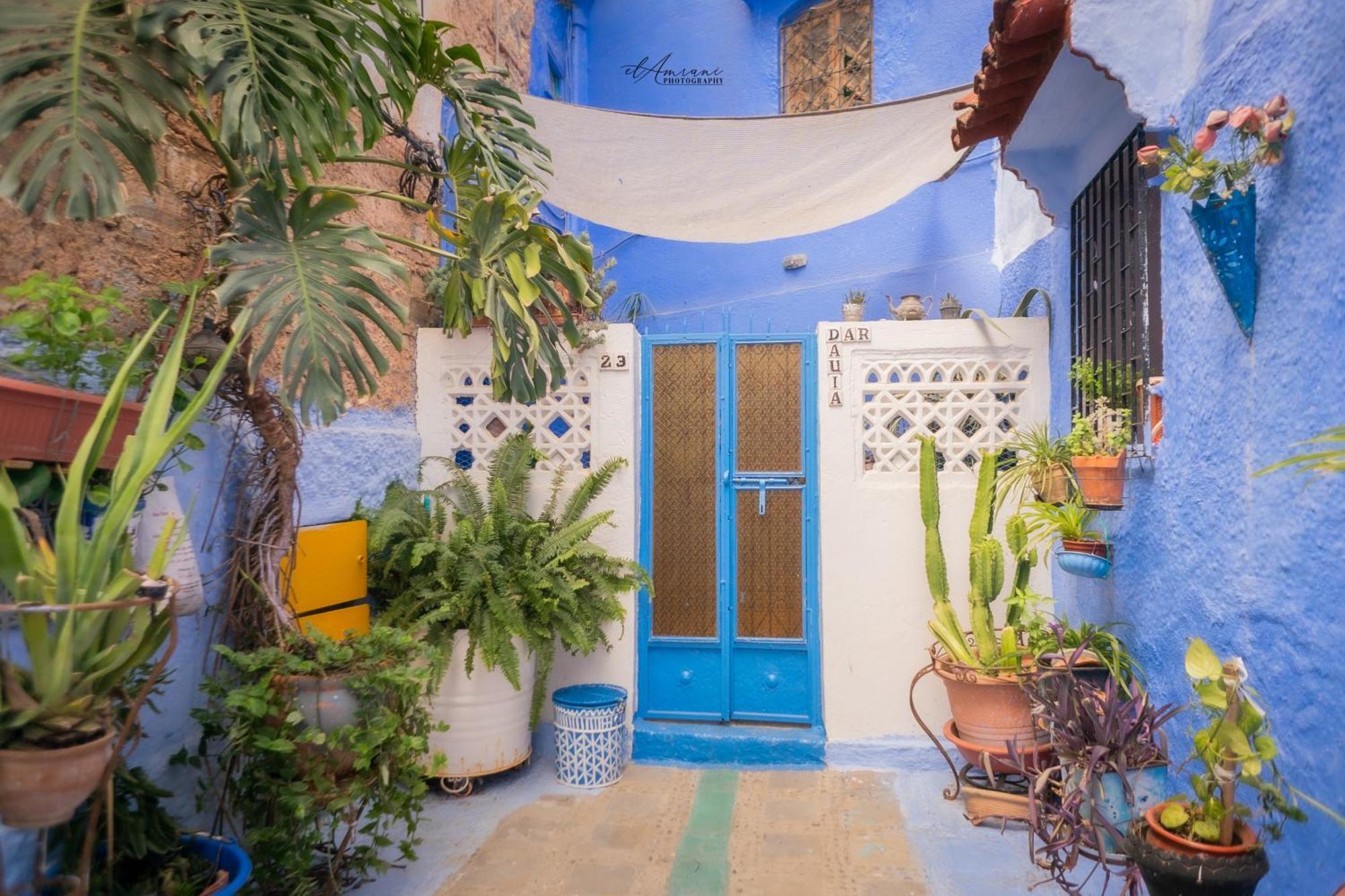 Dar Dauia Apartman Chefchaouen Kültér fotó